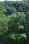 Nonton Film The Litchi Road Season 1 Episode 18 Subtitle Indonesia